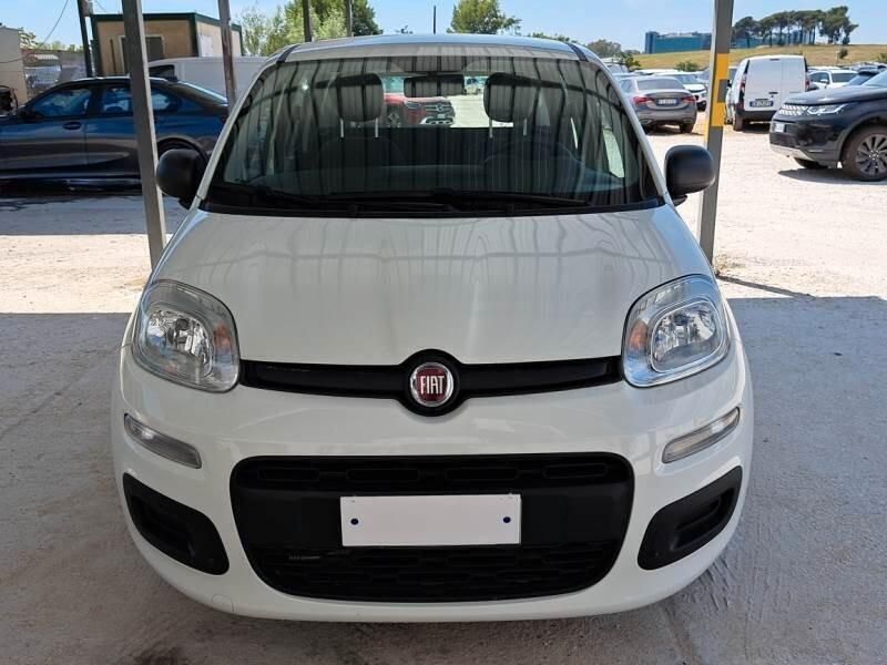 Usata Fiat Panda Easy 69 CV (50 kW) 2020 Bianco Utilitaria