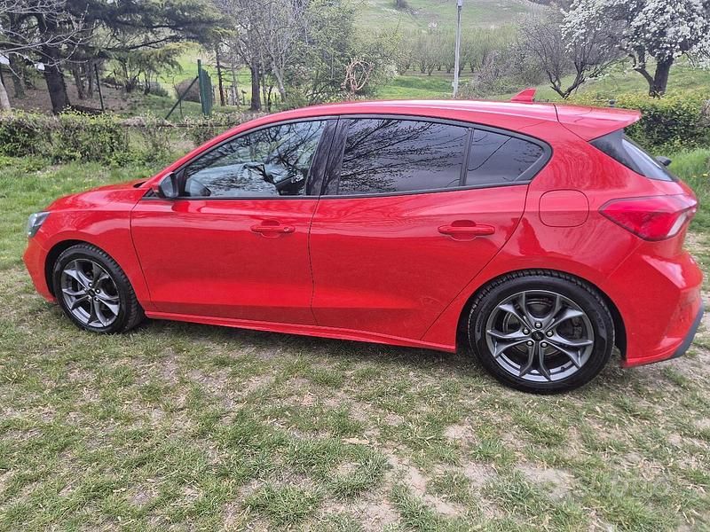 Usata Ford Focus ST-Line 125 CV (91 kW) 2019 Rosso Berlina