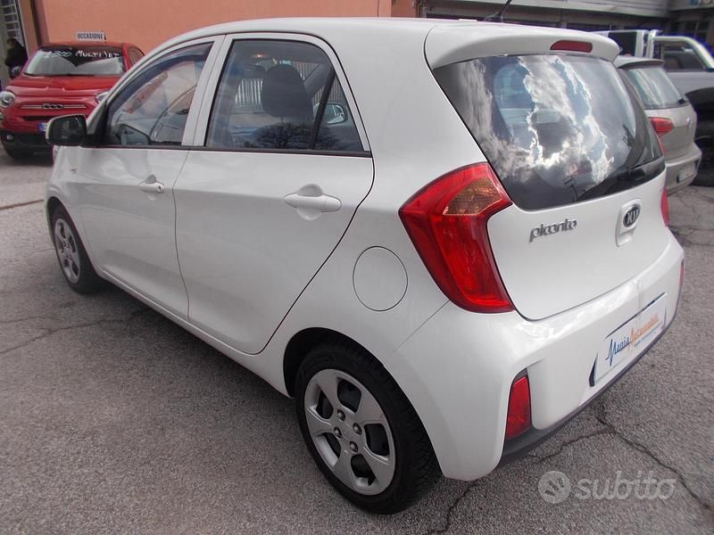 Usata Kia Picanto 2016 Bianco Utilitaria