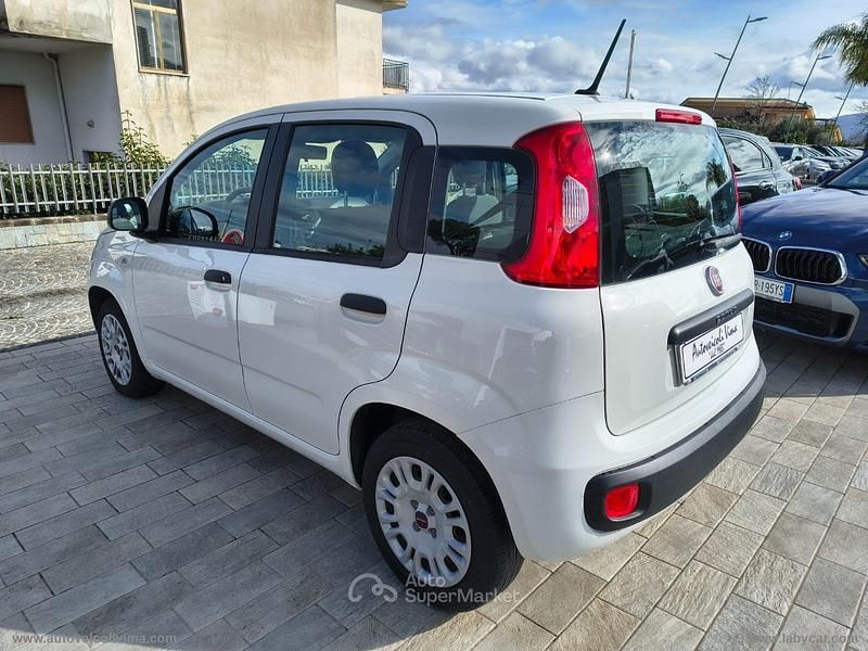 Usata Fiat Panda Easy 69 CV (50 kW) 2020 Bianco Utilitaria