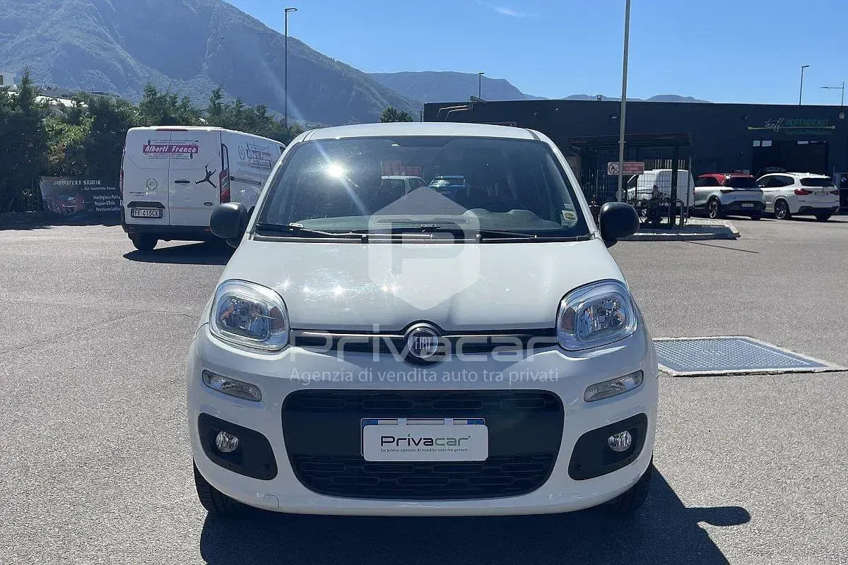 Usata Fiat Panda Easy 69 CV (50 kW) 2016 Bianco Utilitaria