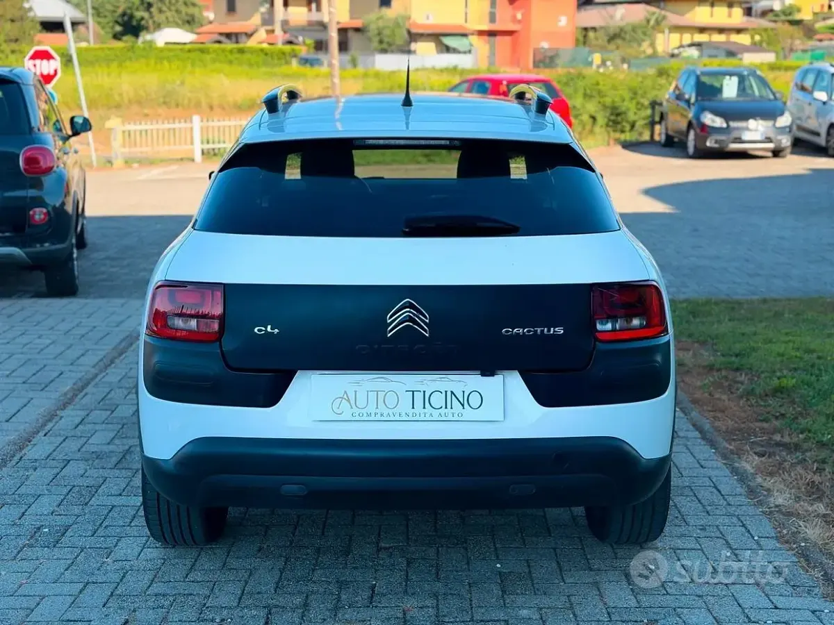 Usata Citroën C4 Cactus Shine 92 CV (67 kW) 2015 Bianco Utilitaria