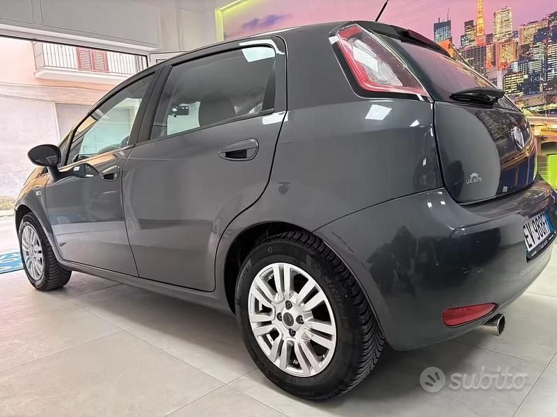 Usata Fiat Punto Lounge 69 CV (50 kW) 2014 Grigio Utilitaria