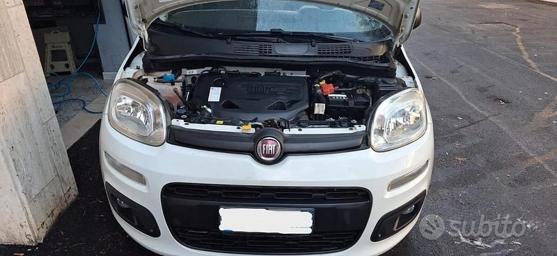 Usata Fiat Panda 2015 Bianco Utilitaria