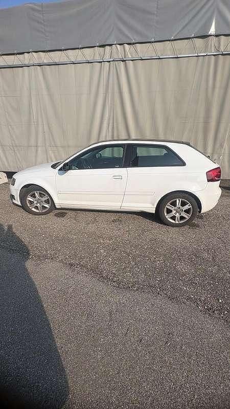 Usata Audi A3 Ambiente 90 CV (66 kW) 2011 Bianco Utilitaria
