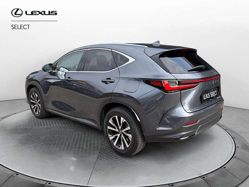 Usata Lexus NX300h 243 CV (178 kW) 2022 Grigio SUV