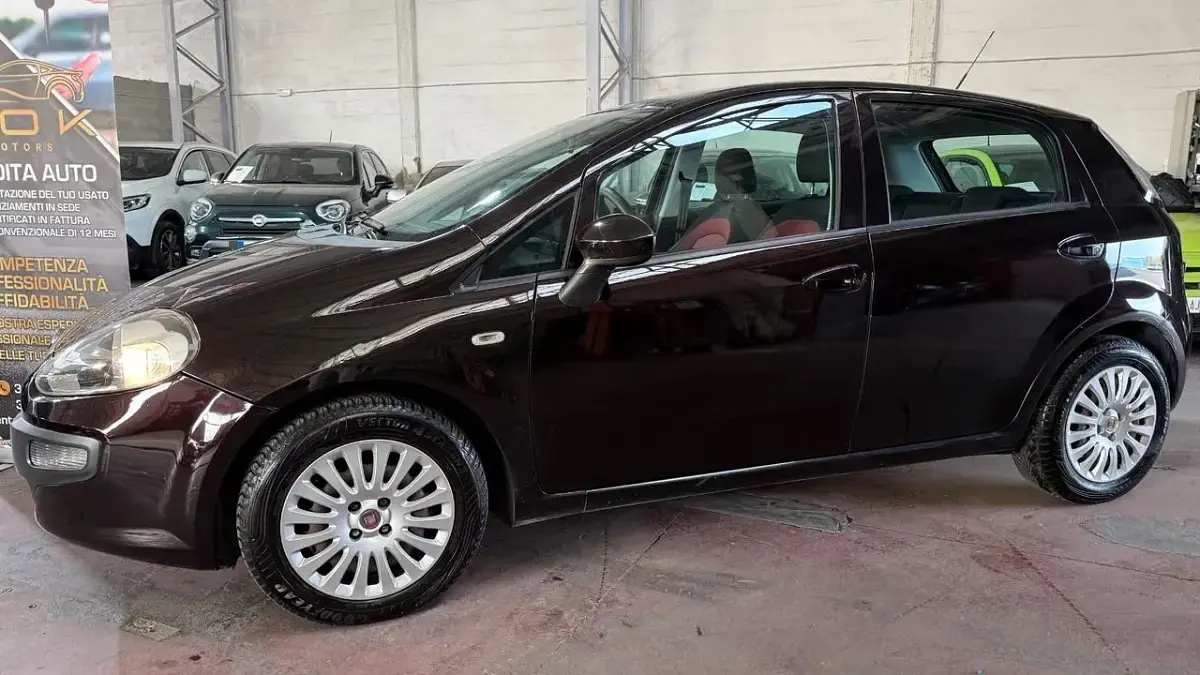 Usata Fiat Punto Active 69 CV (50 kW) 2011 Marrone Utilitaria