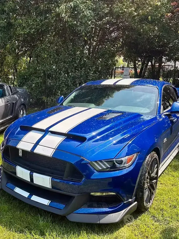 Usata Ford Mustang GT Fastback 421 CV (309 kW) 2015 Blu Coupé