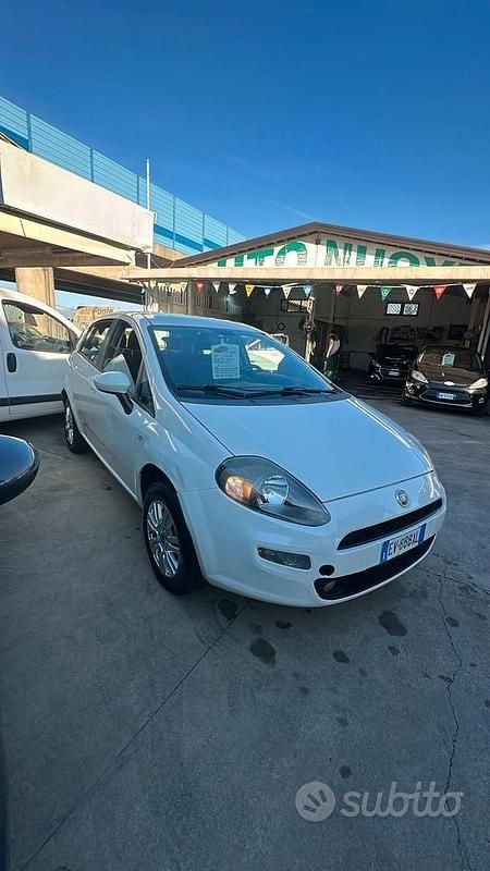Usata Fiat Punto Evo 77 CV (56 kW) 2014 Bianco Utilitaria