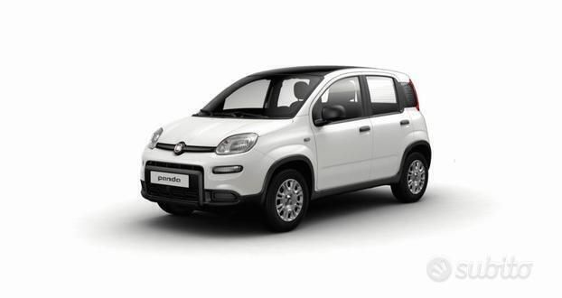 Nuova Fiat Panda S 69 CV (50 kW) 2025 Utilitaria