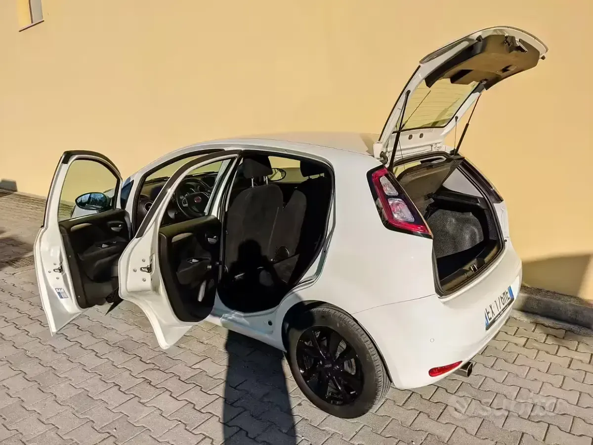 Usata Fiat Punto Lounge 75 CV (55 kW) 2014 Bianco Utilitaria