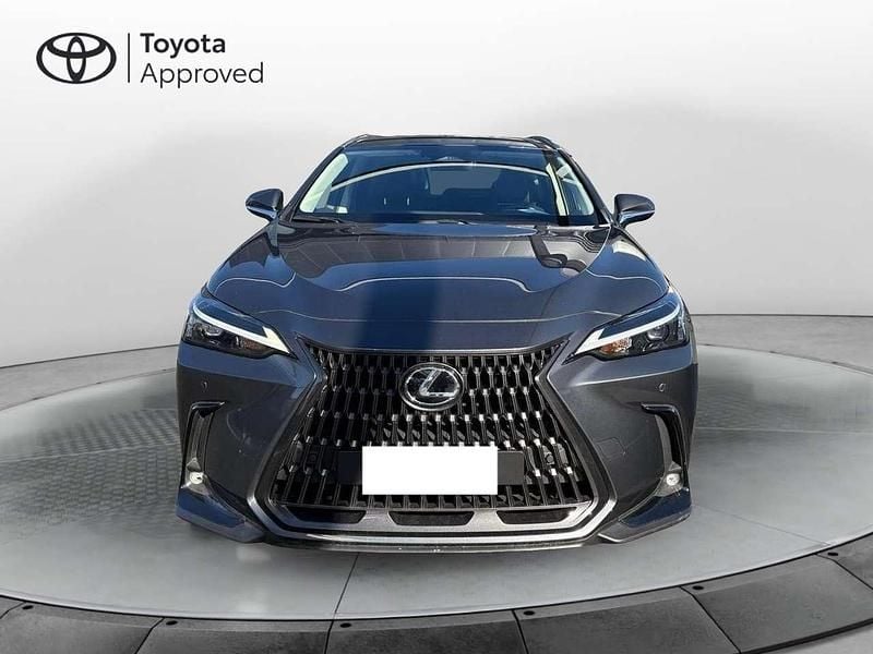 Usata Lexus NX300 309 CV (227 kW) 2023 Grigio SUV