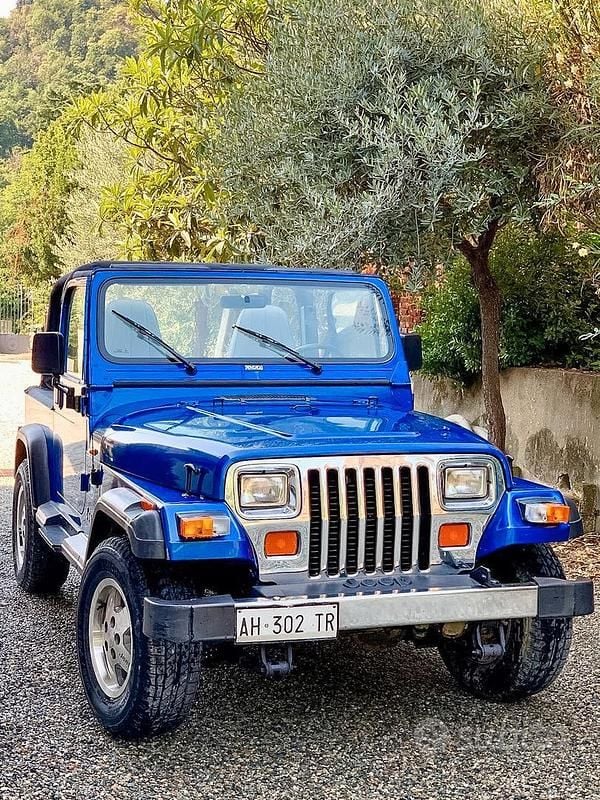 Usata Jeep Wrangler 184 CV (135 kW) 1995 Blu SUV
