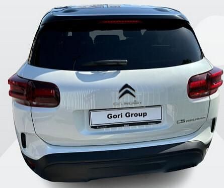 Usata Citroën C5 Feel 130 CV (95 kW) 2023 Bianco Station wagon