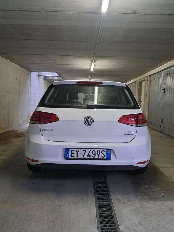 Usata VW Golf VII 110 CV (80 kW) 2015 Bianco Berlina