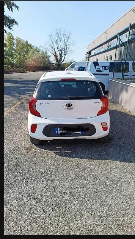 Usata Kia Picanto 65 CV (47 kW) 2019 Bianco Utilitaria