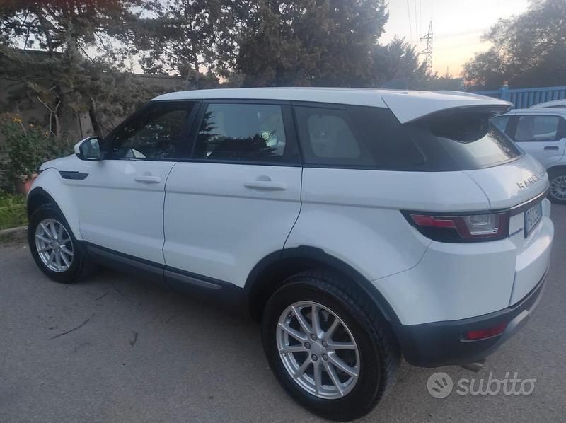 Usata Land Rover Range Rover evoque 150 CV (110 kW) 2016 Bianco SUV