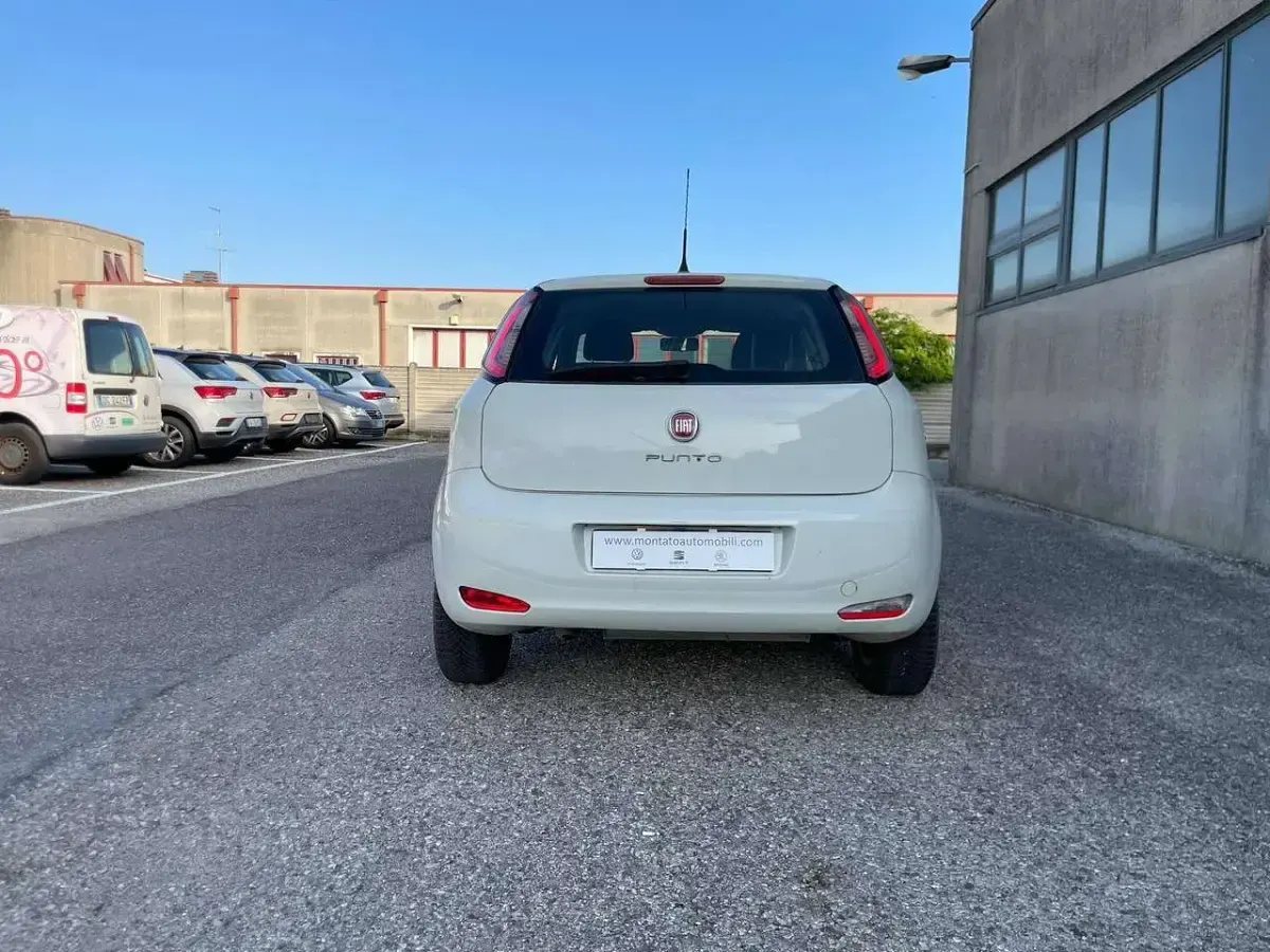 Usata Fiat Punto Lounge 69 CV (50 kW) 2015 Bianco Utilitaria