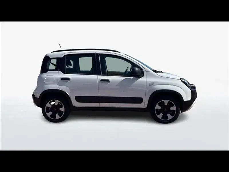 Usata Fiat Panda Cross Cross 70 CV (51 kW) 2020 Bianco Utilitaria