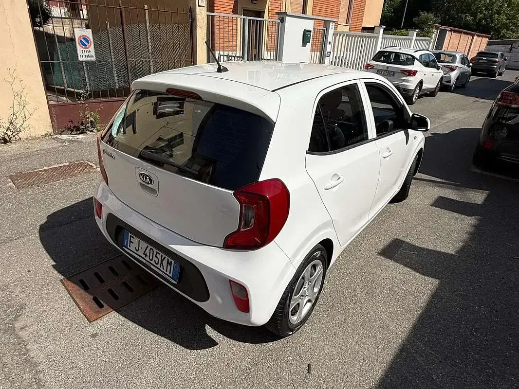 Usata Kia Picanto 67 CV (49 kW) 2017 Bianco Utilitaria