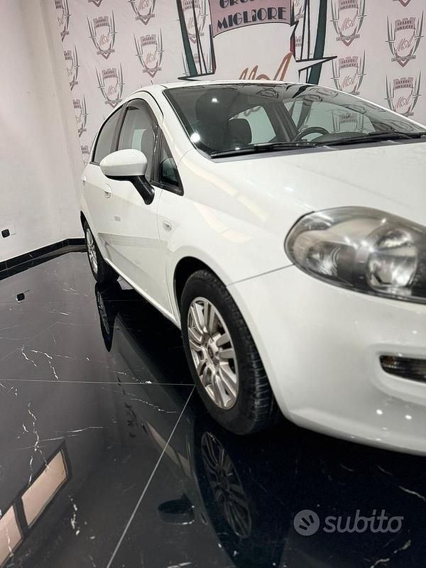 Usata Fiat Punto Lounge 85 CV (62 kW) 2014 Bianco Utilitaria