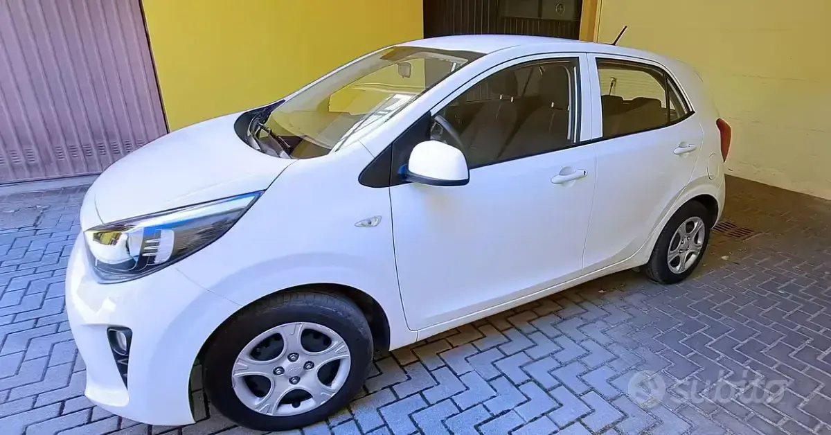 Usata Kia Picanto 67 CV (49 kW) 2022 Bianco Utilitaria