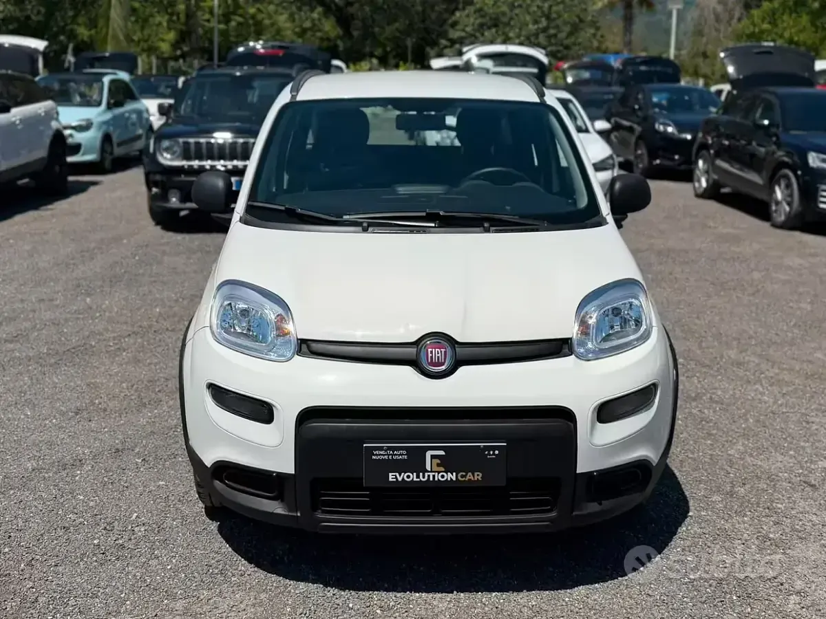Usata Fiat Panda 70 CV (51 kW) 2024 Bianco Utilitaria