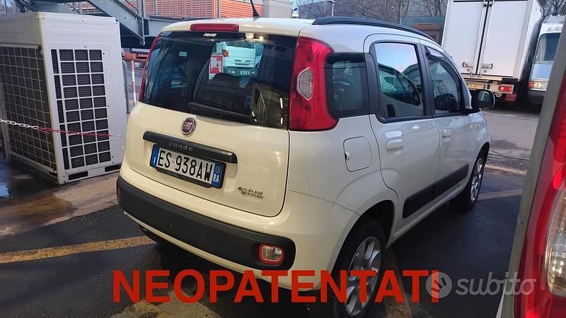 Usata Fiat Panda Easy 80 CV (58 kW) 2013 Bianco Utilitaria