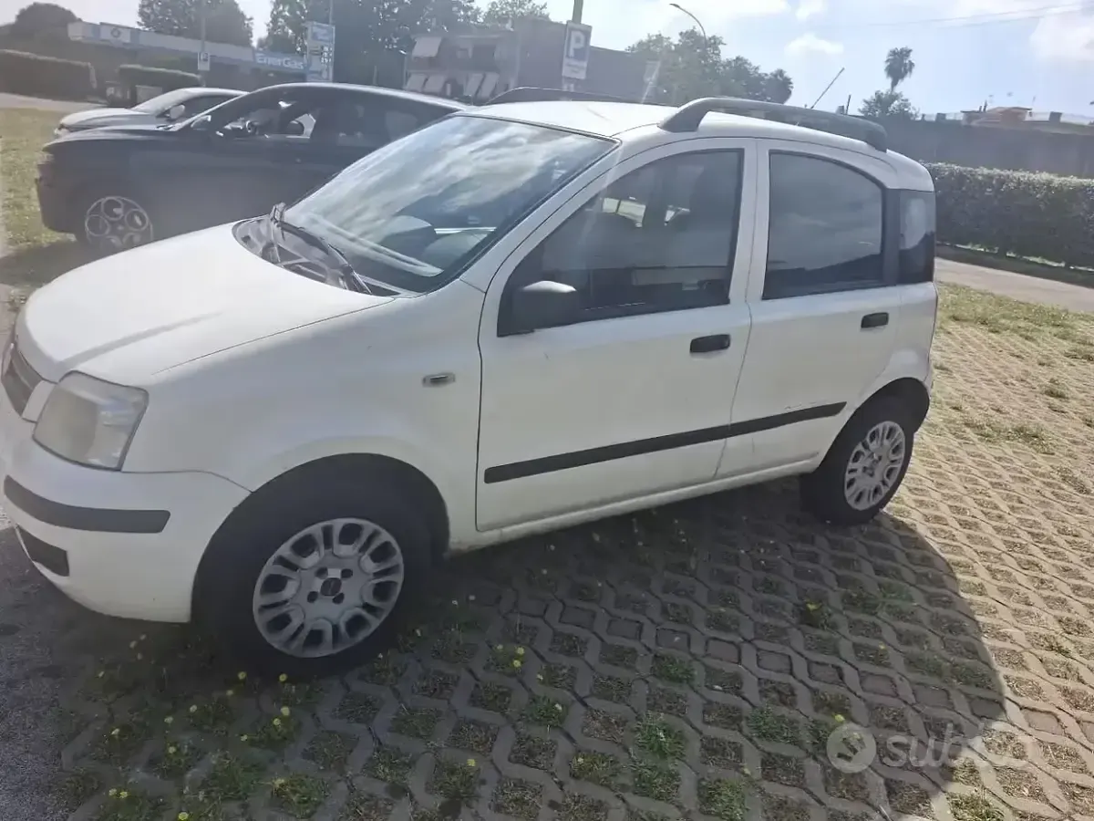 Usata Fiat Panda 60 CV (44 kW) 2009 Bianco Utilitaria