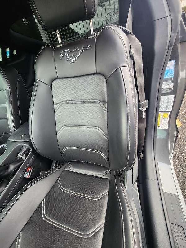 Usata Ford Mustang Fastback 390 CV (286 kW) 2015 Coupé