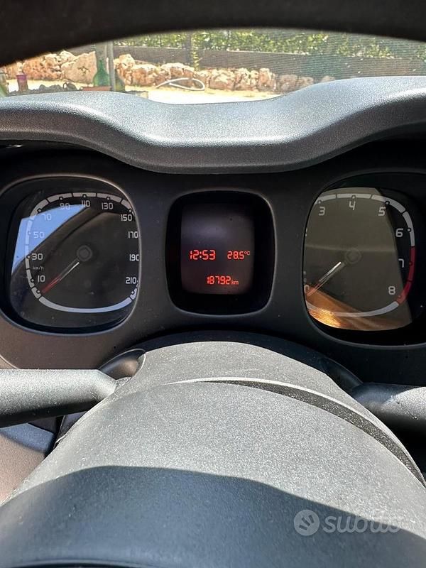 Usata Fiat Panda City Life 70 CV (51 kW) 2023 Grigio Utilitaria