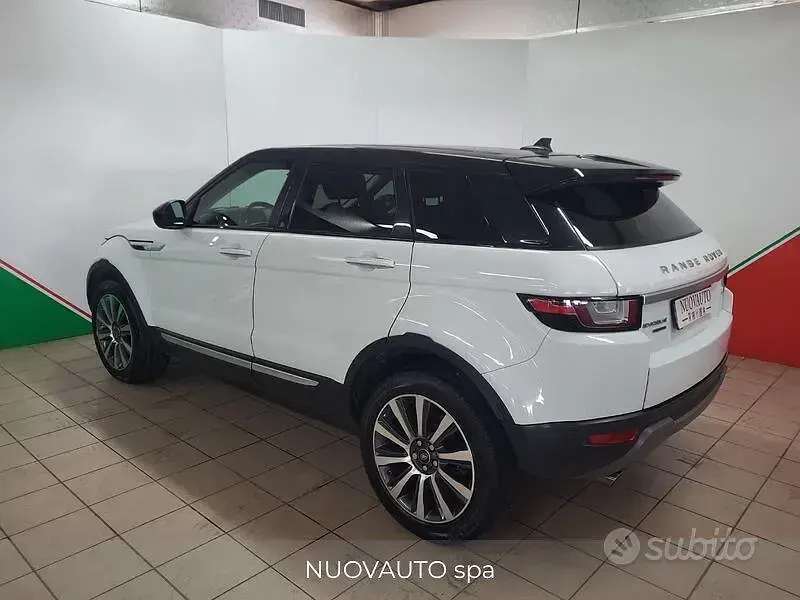 Usata Land Rover Range Rover evoque HSE 150 CV (110 kW) 2015 Bianco SUV