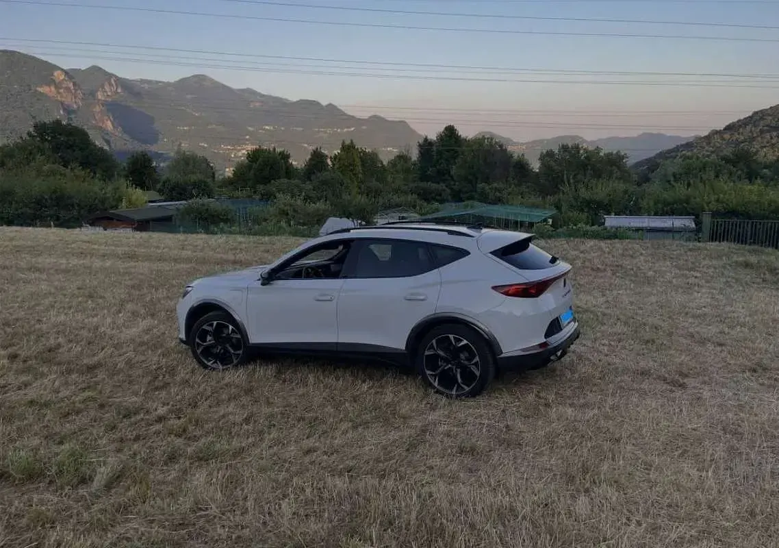 Usata Cupra Formentor 204 CV (150 kW) 2023 Bianco SUV