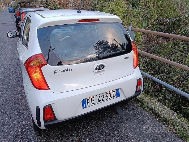Usata Kia Picanto 2016 Bianco Utilitaria