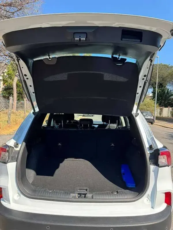 Usata Ford Kuga 120 CV (88 kW) 2021 Bianco SUV