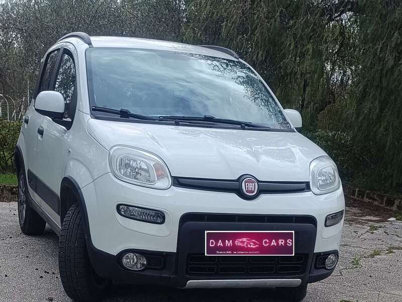 Usato 2017 Fiat Panda 4x4 1.2 Diesel 80 CV (12.000 €)