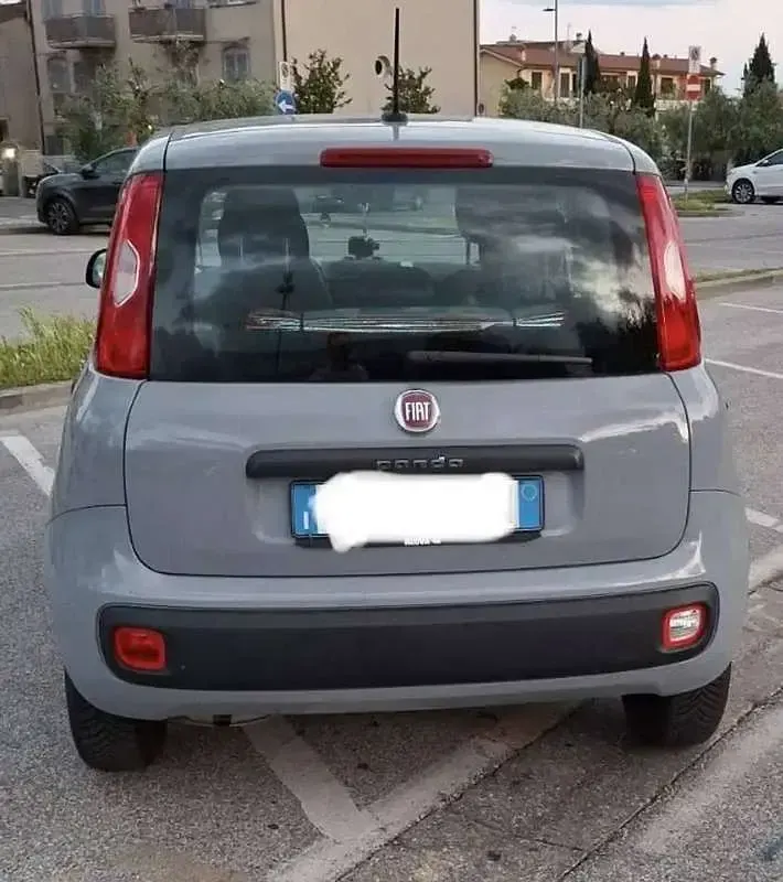 Usata Fiat Panda Easy 69 CV (50 kW) 2020 Grigio Utilitaria