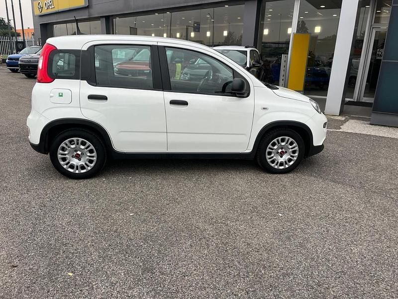 Usata Fiat Panda S 69 CV (50 kW) 2023 Bianco Utilitaria