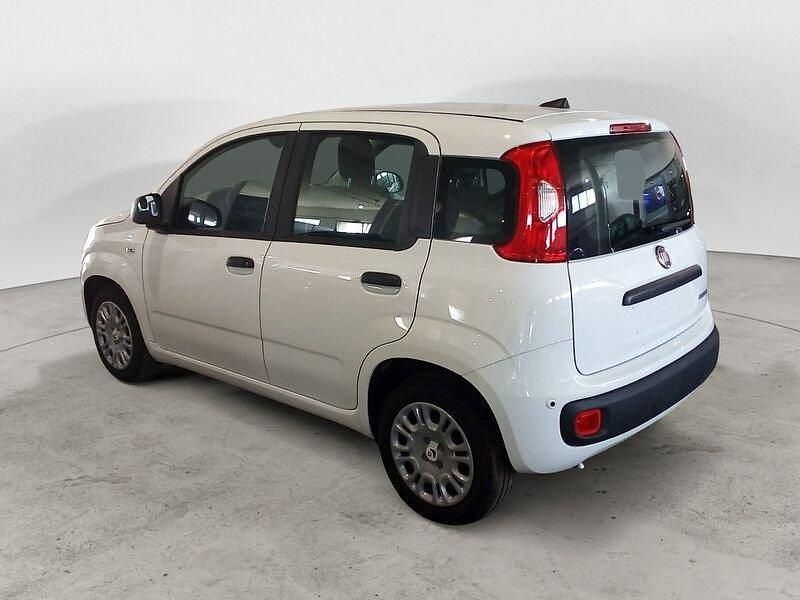 Nuova Fiat Panda Icon 69 CV (50 kW) 2025 Bianco Utilitaria