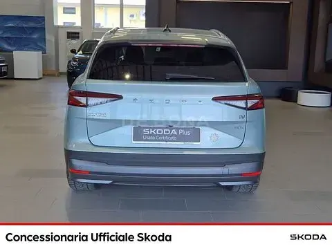 Usata Skoda Enyaq iV 194 kW (265 CV) 2023 Verde SUV