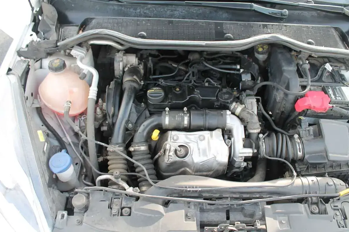 Usata Ford Fiesta Active 125 CV (91 kW) 2020 Bianco Utilitaria