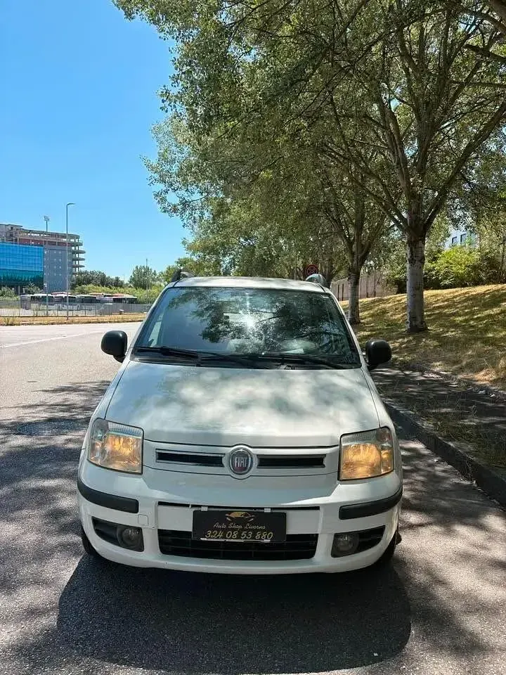 Usata Fiat Panda Dynamic 69 CV (50 kW) 2010 Utilitaria