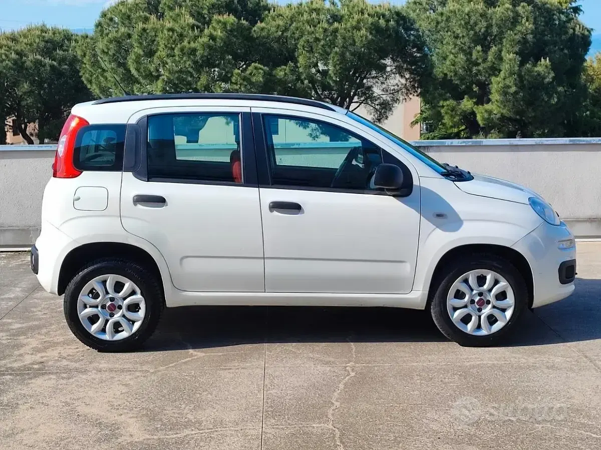 Usata Fiat Panda Lounge 69 CV (50 kW) 2013 Bianco Utilitaria