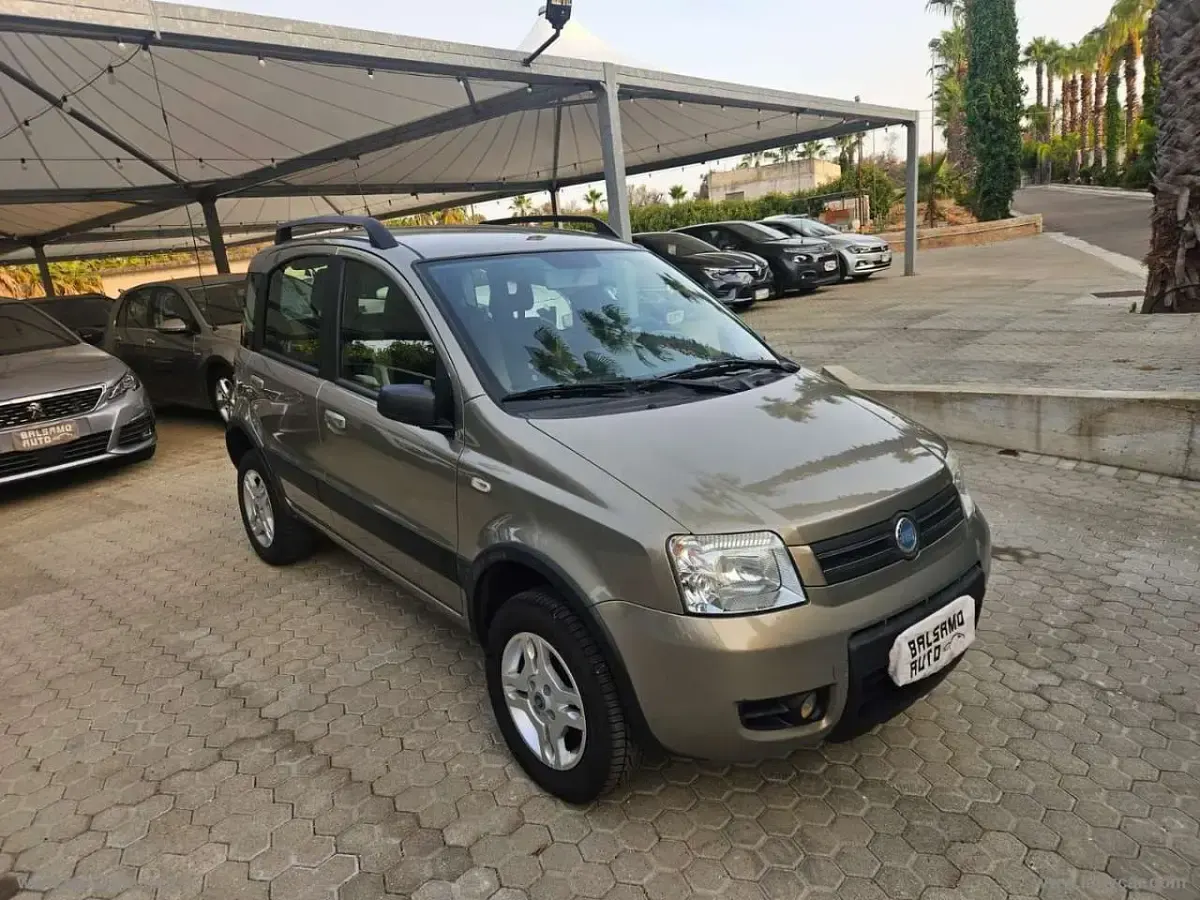 Usata Fiat Panda 4x4 Climbing 69 CV (50 kW) 2007 Grigio Utilitaria