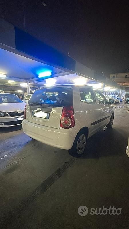 Usata Kia Picanto 59 CV (43 kW) 2010 Bianco Utilitaria