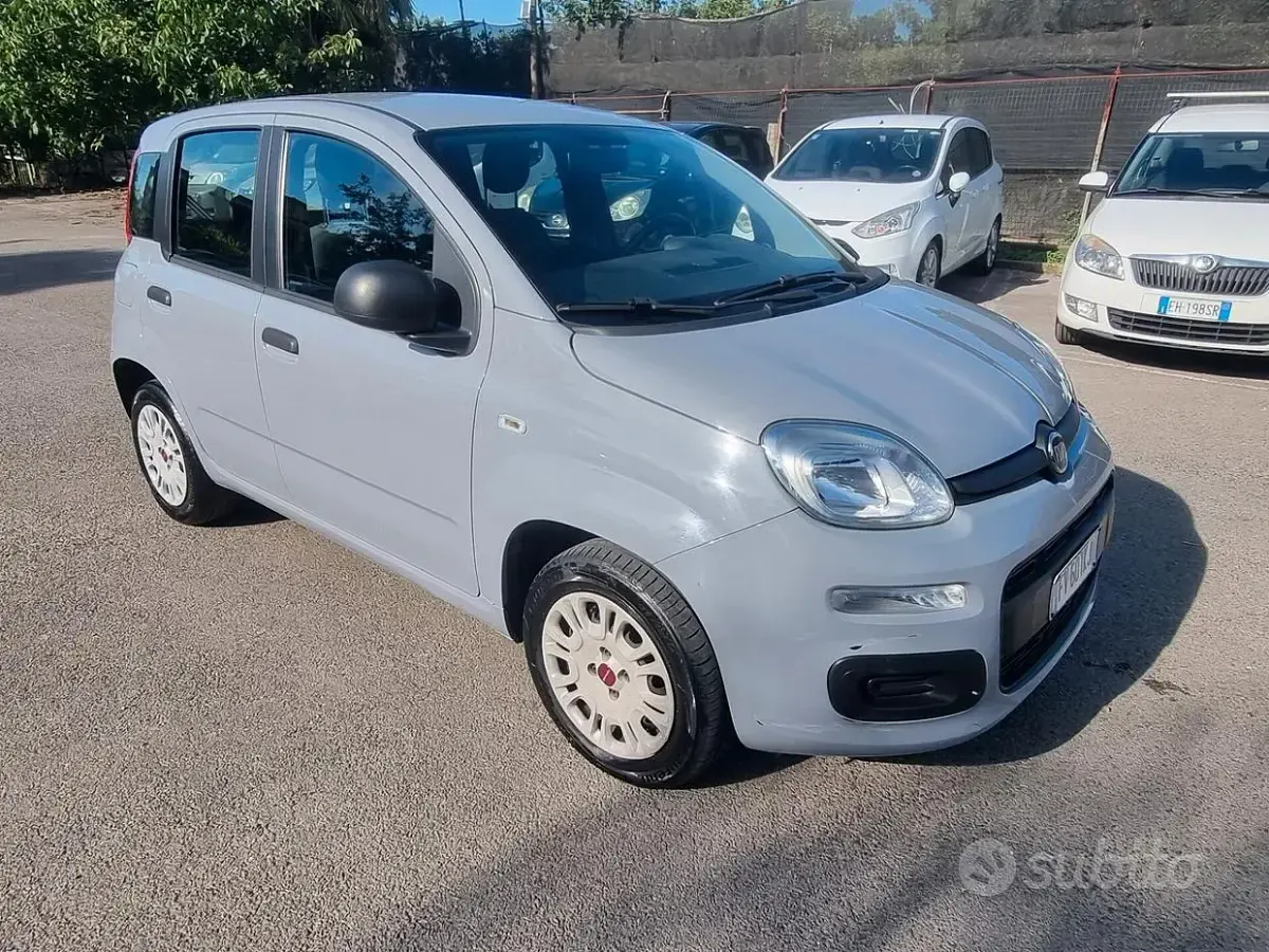 Usata Fiat Panda Easy 69 CV (50 kW) 2019 Grigio Utilitaria