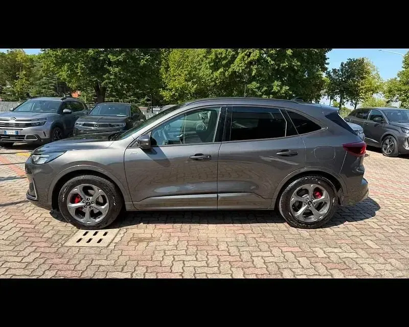 Usata Ford Kuga ST-Line 180 CV (132 kW) 2025 Grigio SUV