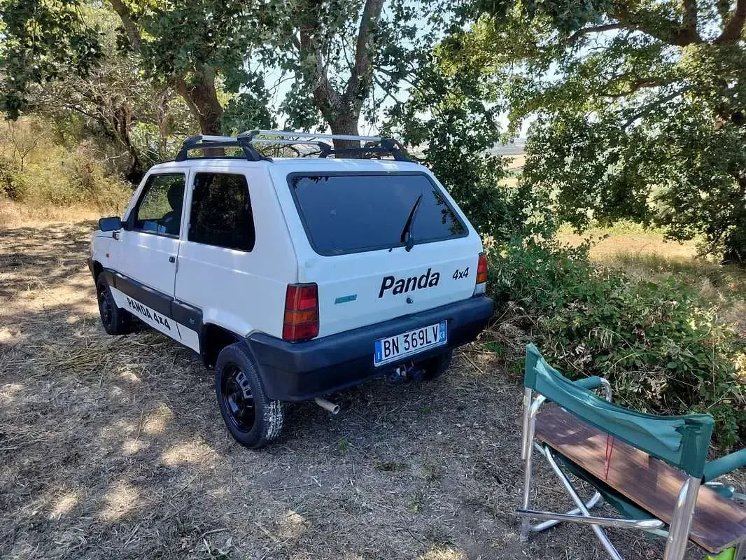 Usata Fiat Panda 4x4 Trekking 54 CV (39 kW) 2000 Utilitaria