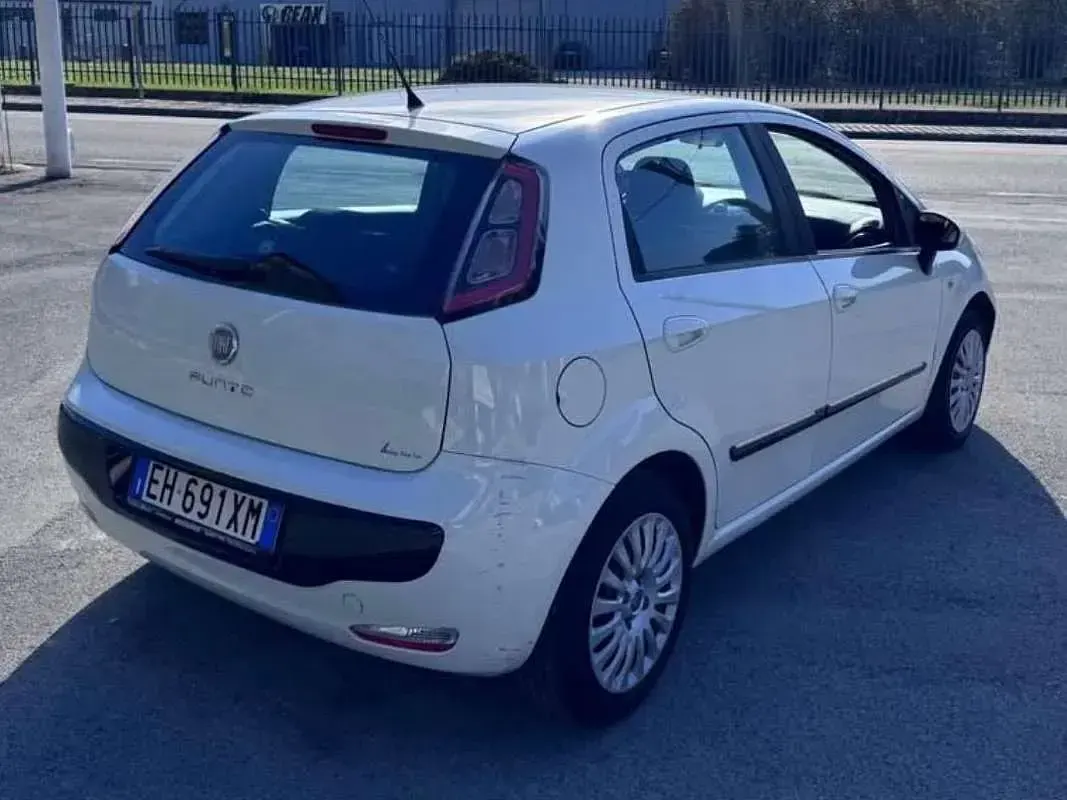 Usata Fiat Punto Evo Active 75 CV (55 kW) 2011 Bianco Utilitaria