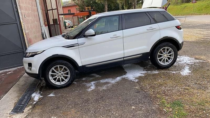 Usata Land Rover Range Rover evoque Pure 150 CV (110 kW) 2014 Bianco SUV